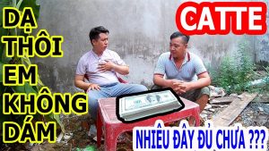 Catte tại bet88